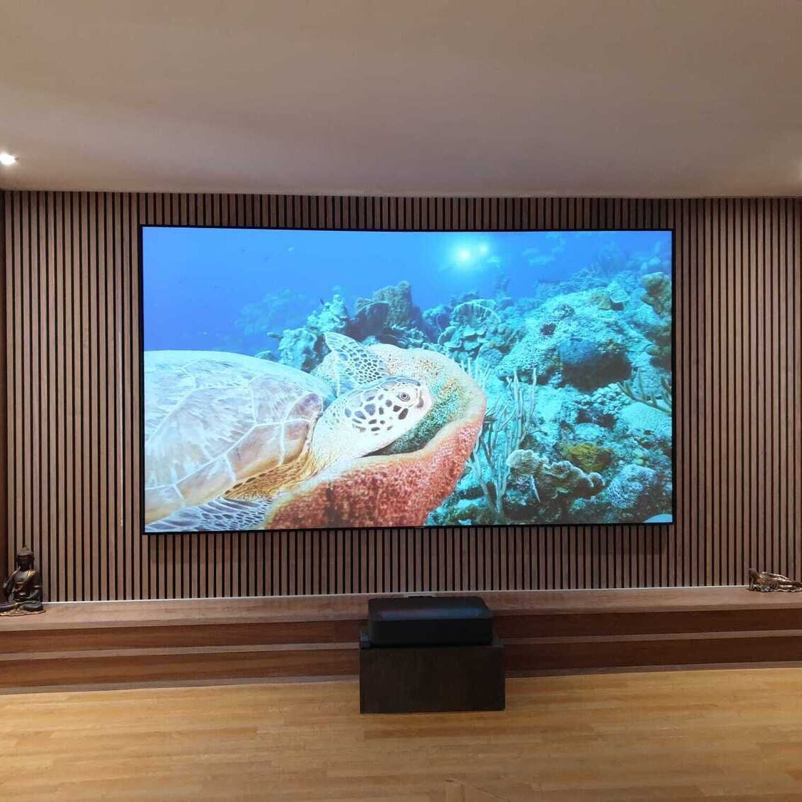 XY Screen 120 inch Projector Screen