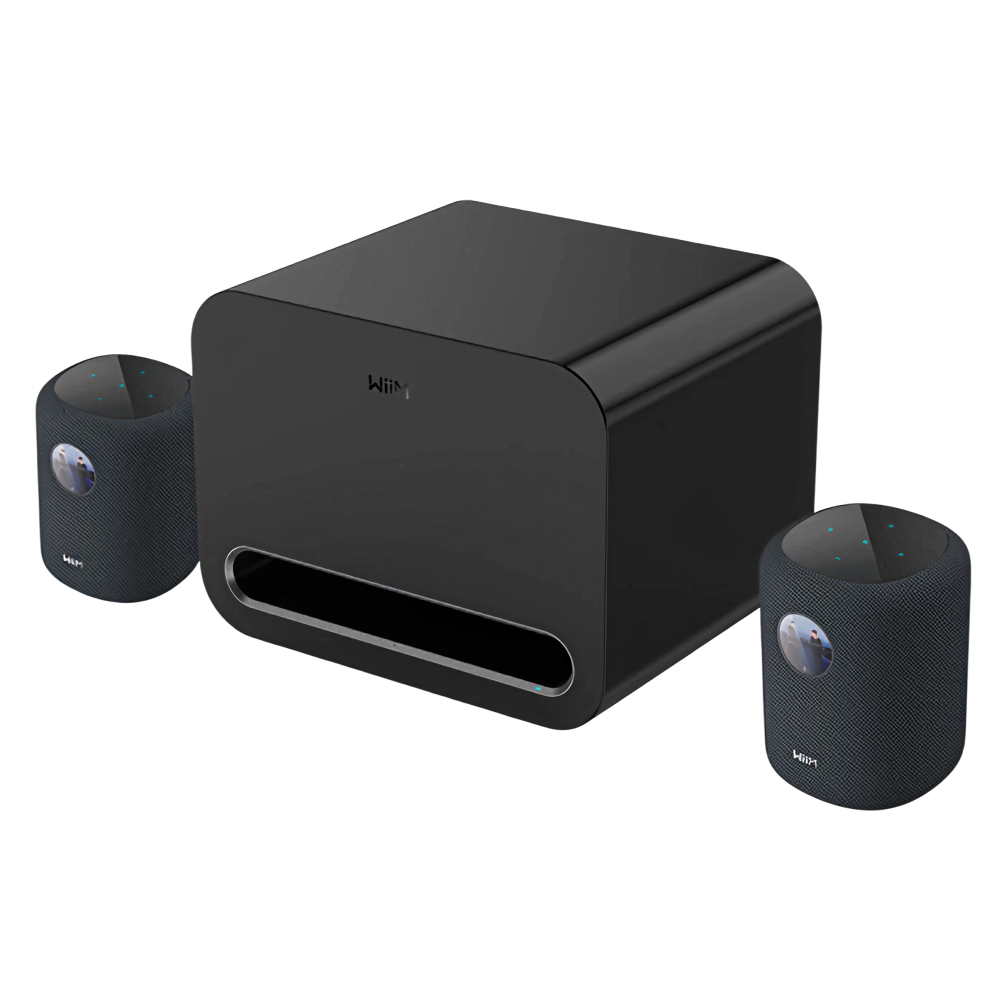 WiiM-Sound-Stereo-Pair-WiiM-Sub-Pro