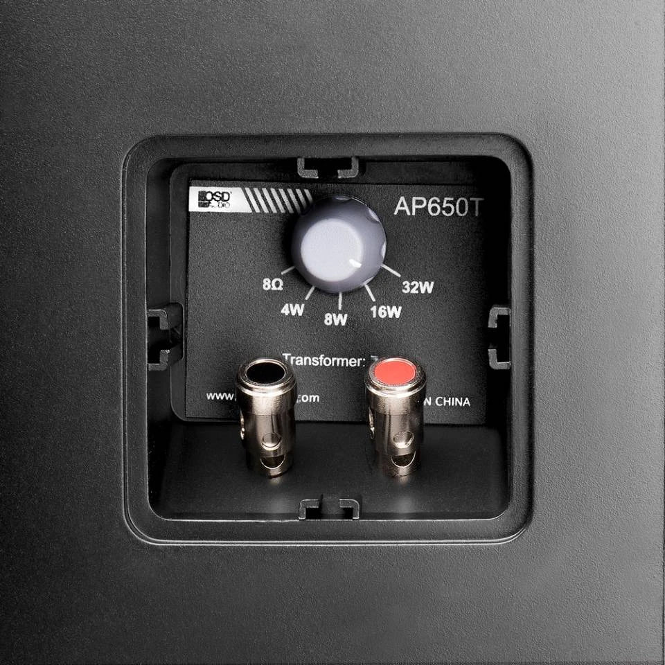 OSD Audio AP650T 6.5-inch Outdoor Patio Speakers with 70V Tap, Black (Pair) - OSD Audio - Cinematics Pakistan - view 4
