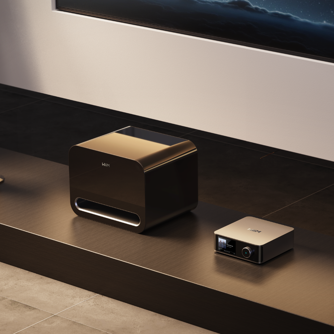 WiiM Sub Pro in living room home cinema setup
