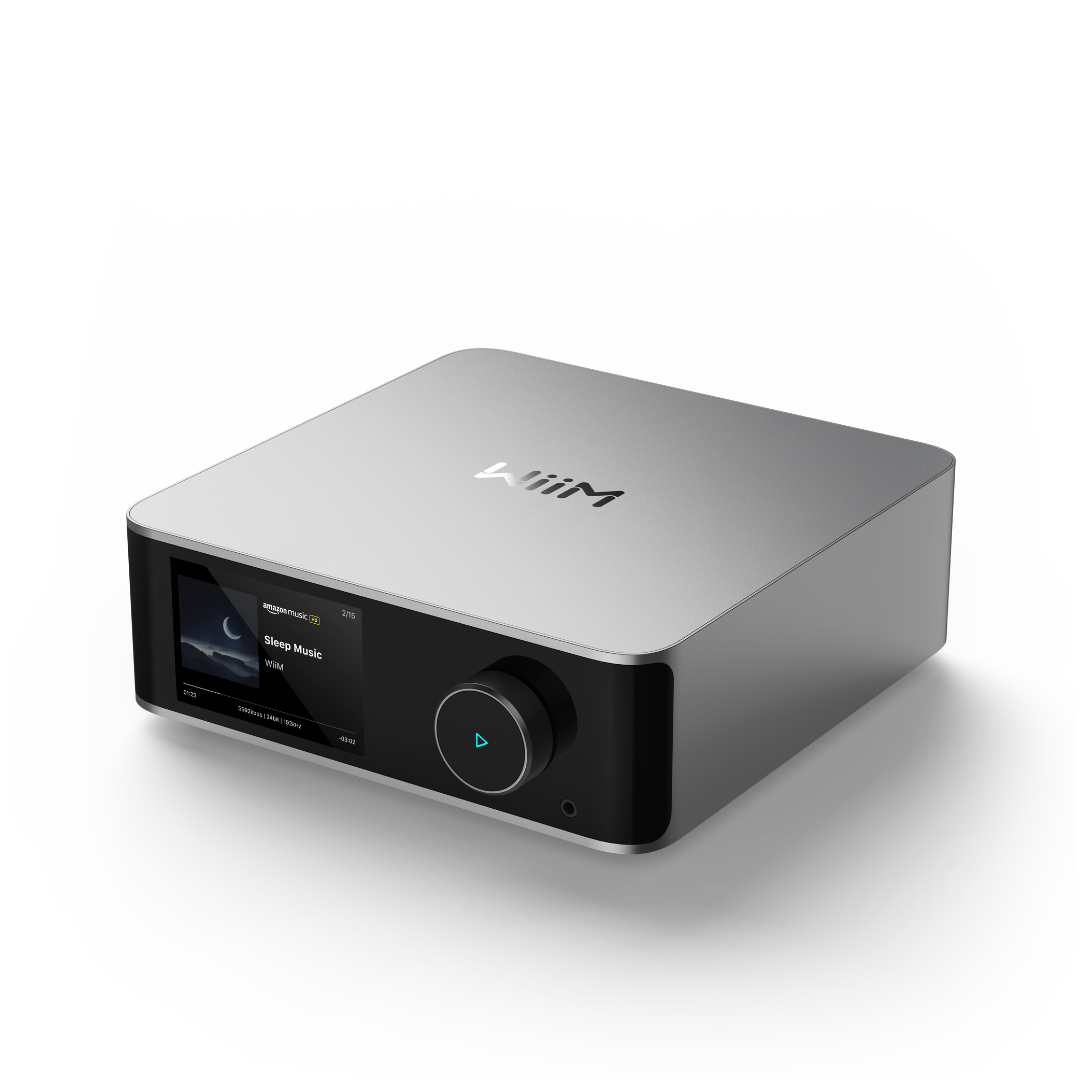 Rear connectivity ports on WiiM Ultra